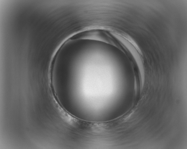 X0000070391148200606091145
