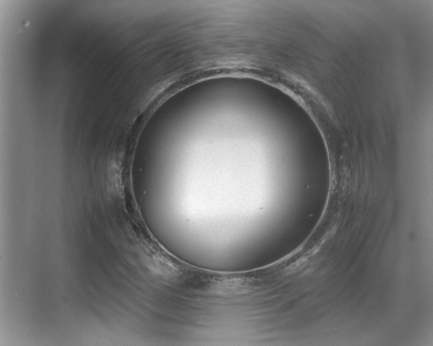 X0000070391162200606091144