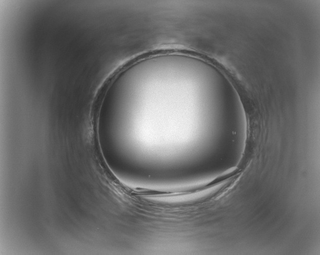 X0000070391167200606091144