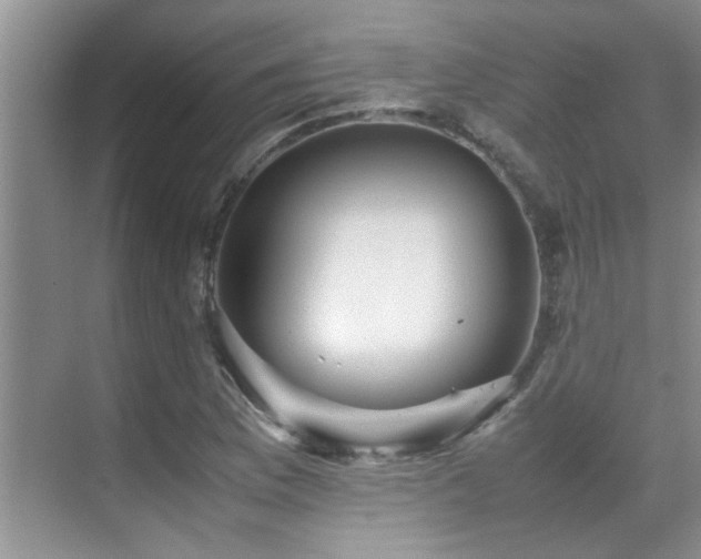 X0000070391169200606091144