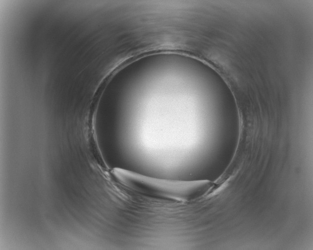 X0000070391170200606091144
