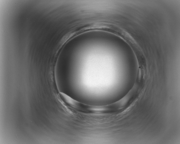 X0000070391177200606091143