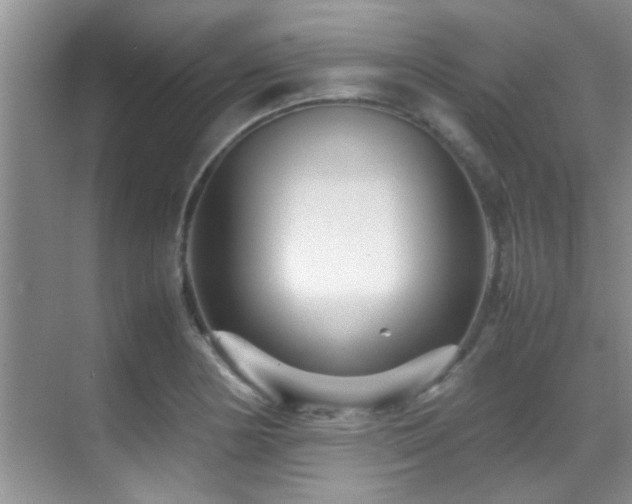 X0000070391178200606091143