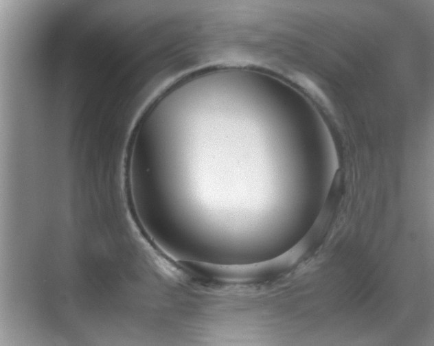 X0000070391183200606091143
