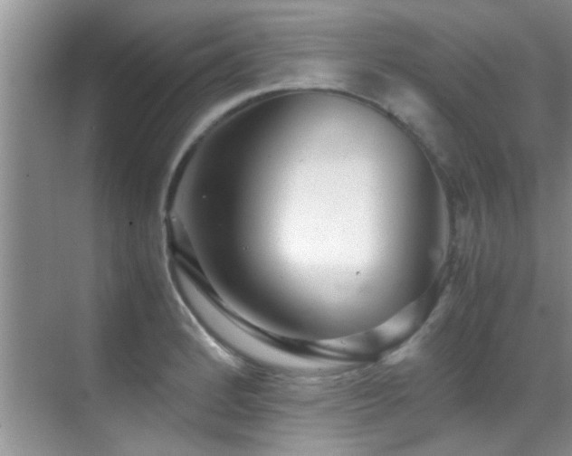 X0000070391184200606091143