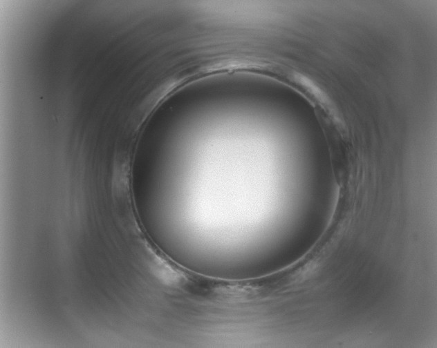 X0000070391185200606091143
