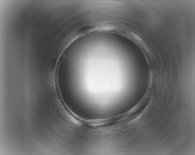 X0000070391186200606091143