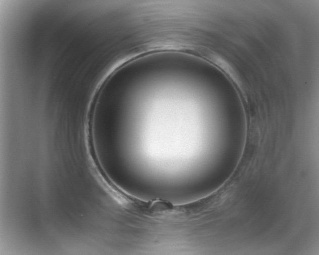 X0000070391187200606091143