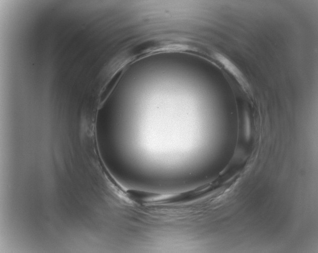 X0000070391193200606091143