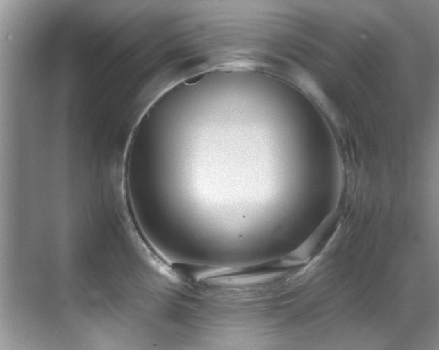 X0000070391194200606091143