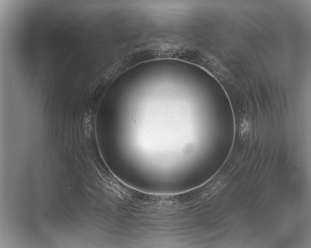 X0000070391204200606091142