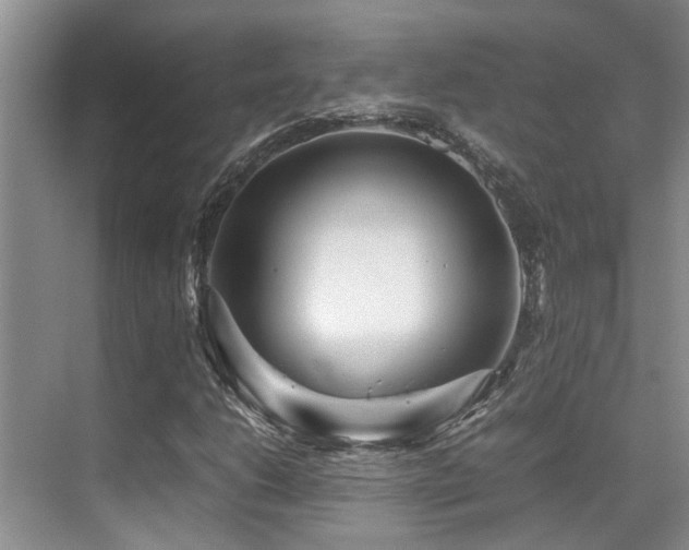 X0000070391206200606091142