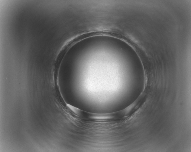 X0000070391214200606091142