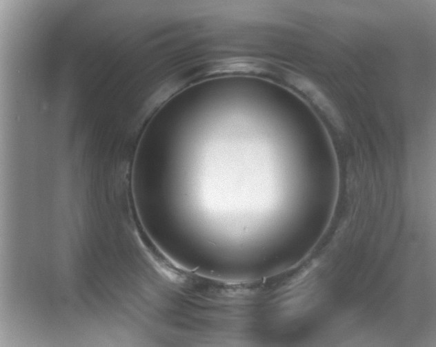 X0000070391233200606091143