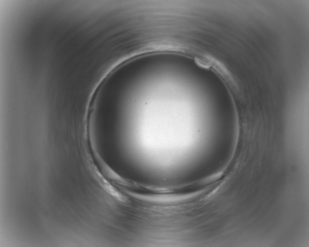 X0000070391236200606091143