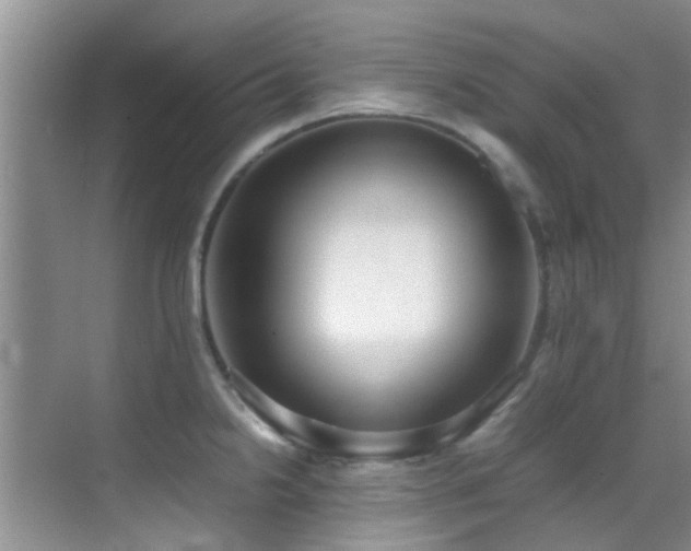 X0000070391238200606091143