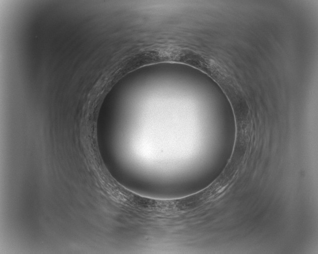 X0000070391249200606091142