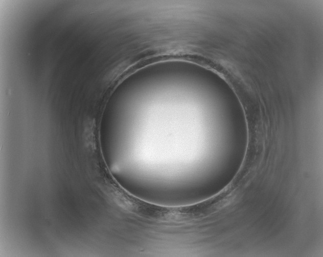 X0000070391265200606091142