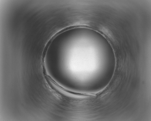 X0000070391268200606091142