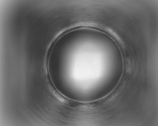 X0000070391272200606091142