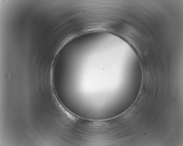 X0000070391290200606091141