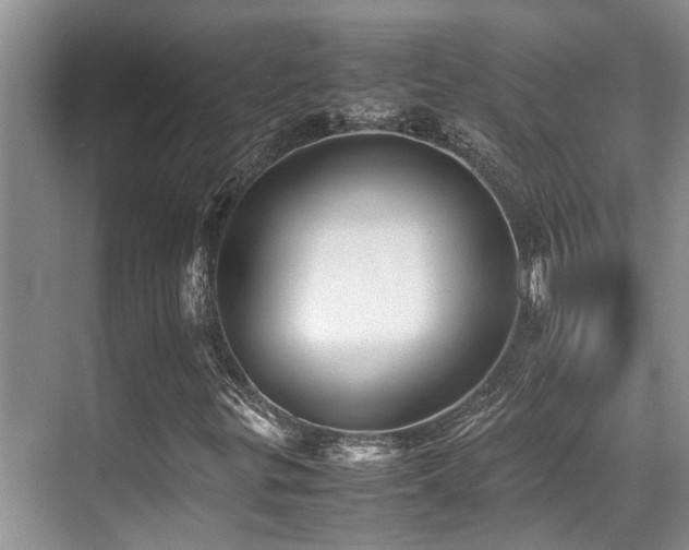 X0000070391299200606091141