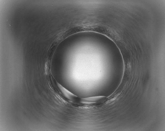 X0000070391300200606091141
