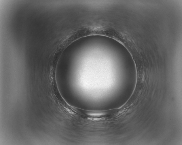 X0000070391301200606091141