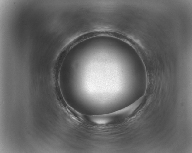 X0000070391311200606091141