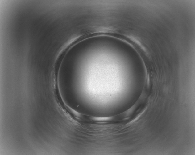 X0000070391317200606091141