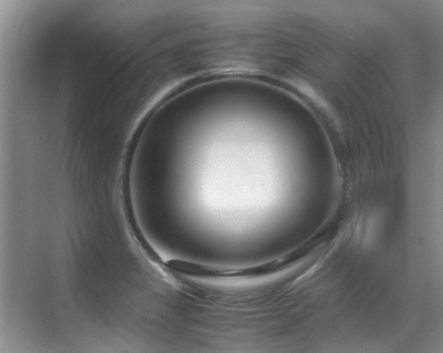 X0000070391325200606091141