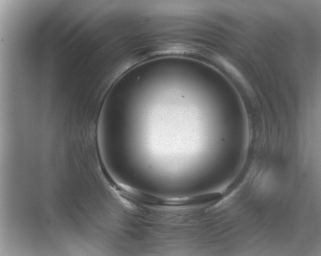 X0000070391329200606091141