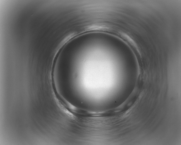 X0000070391330200606091141