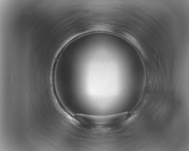 X0000070391339200606091141