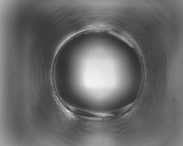 X0000070391344200606091141
