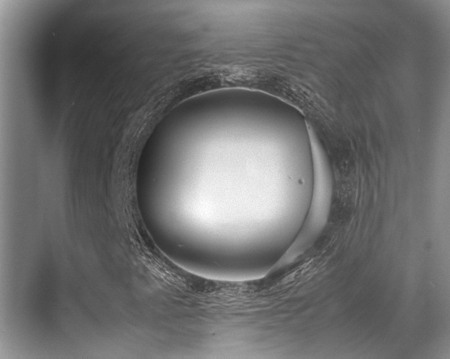 X0000070391345200606091141