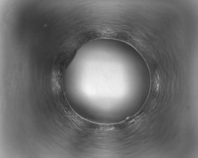 X0000070391346200606091141