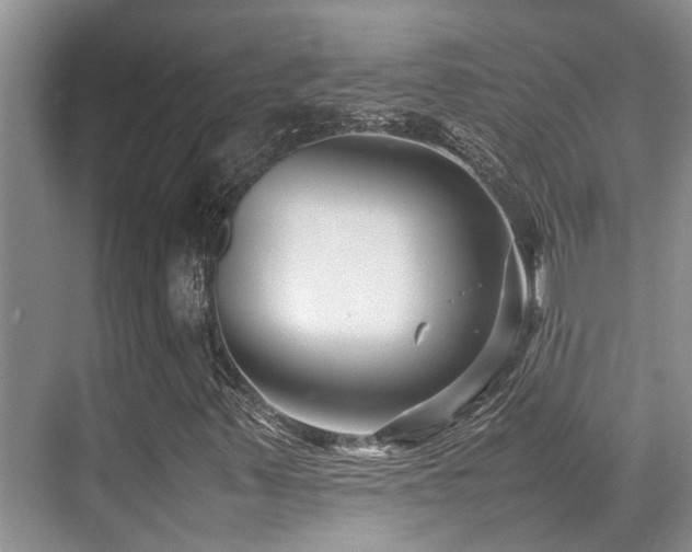 X0000070391347200606091140