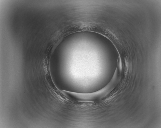 X0000070391348200606091140
