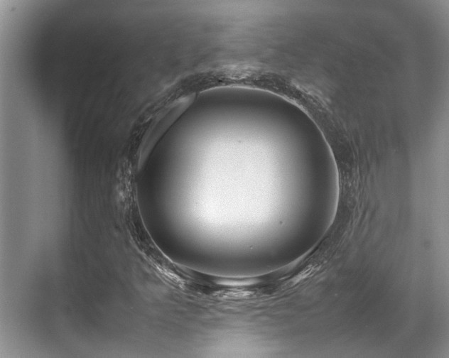 X0000070391349200606091140
