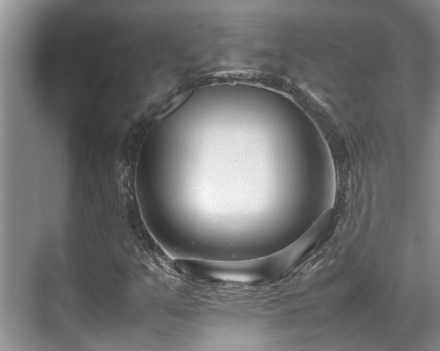 X0000070391351200606091140