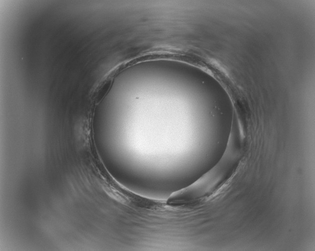 X0000070391355200606091140