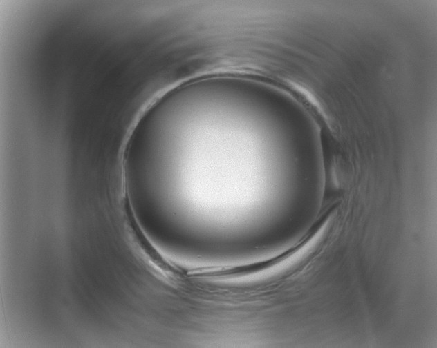 X0000070391371200606091140
