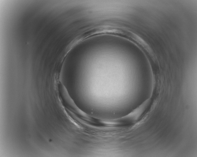X0000070391377200606091140