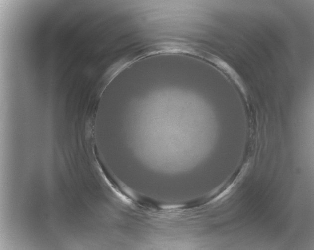 X0000070391385200606091140