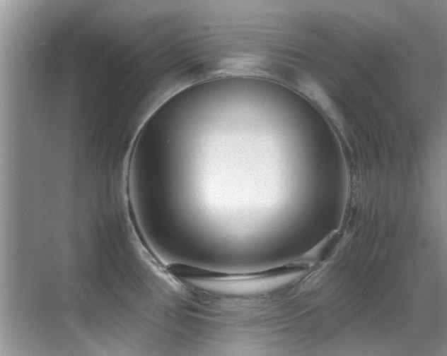 X0000070391386200606091140