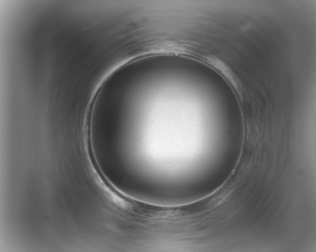 X0000070391387200606091140