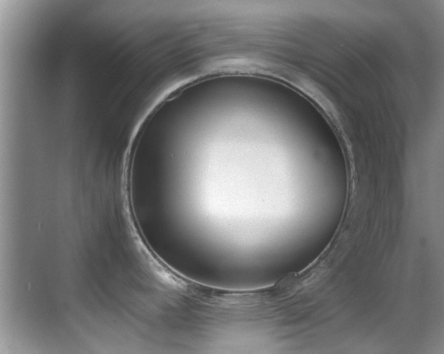 X0000070391392200606091140