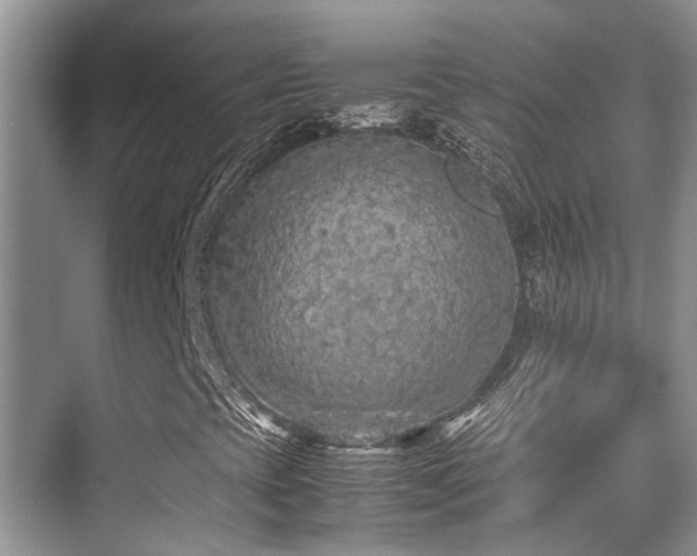 X0000070391393200606091139