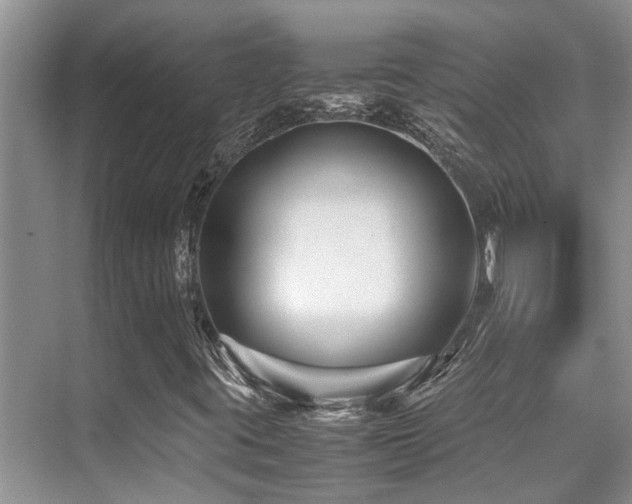 X0000070391395200606091139
